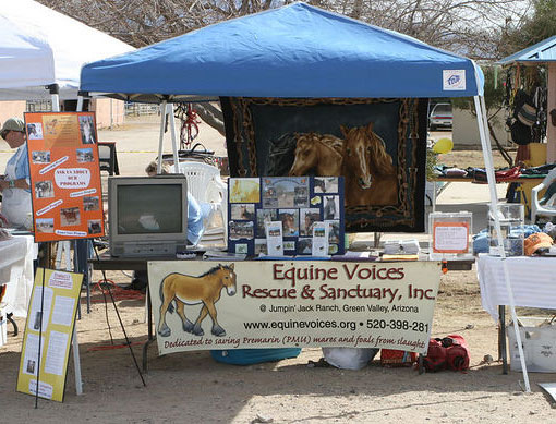 2006 EQ Fundraiser