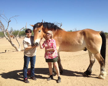 GFAS visits Equine Voices