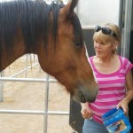 Wyatt being loaded by Renee getting reay for his new home