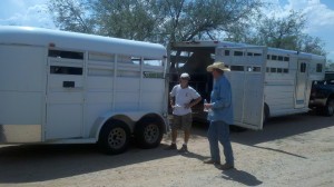 2 more brothers for the wild bunch