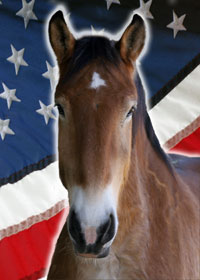 gulliver-4thofjuly