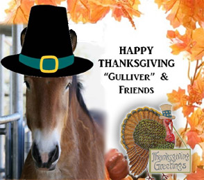 Gulliver Thanksgiving