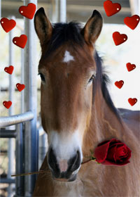 Gulliver wishes you a happy Valentine's Day