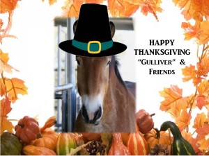 Happy Thansgiving Gulliver