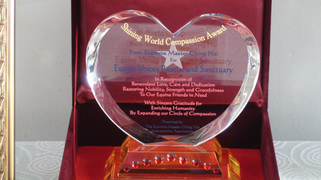 "The Shining World Compassion Award"