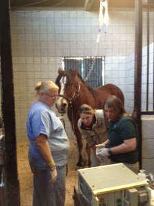 Spanky at the hospital