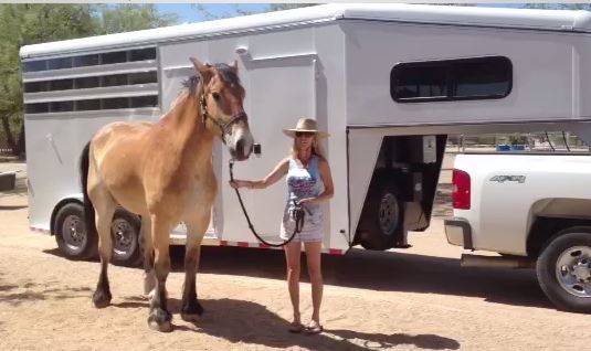 Gulliver and Karen wth his new truck & trailer