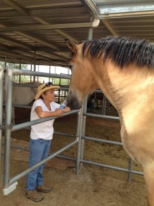 Gulliver saying hi to a visitor