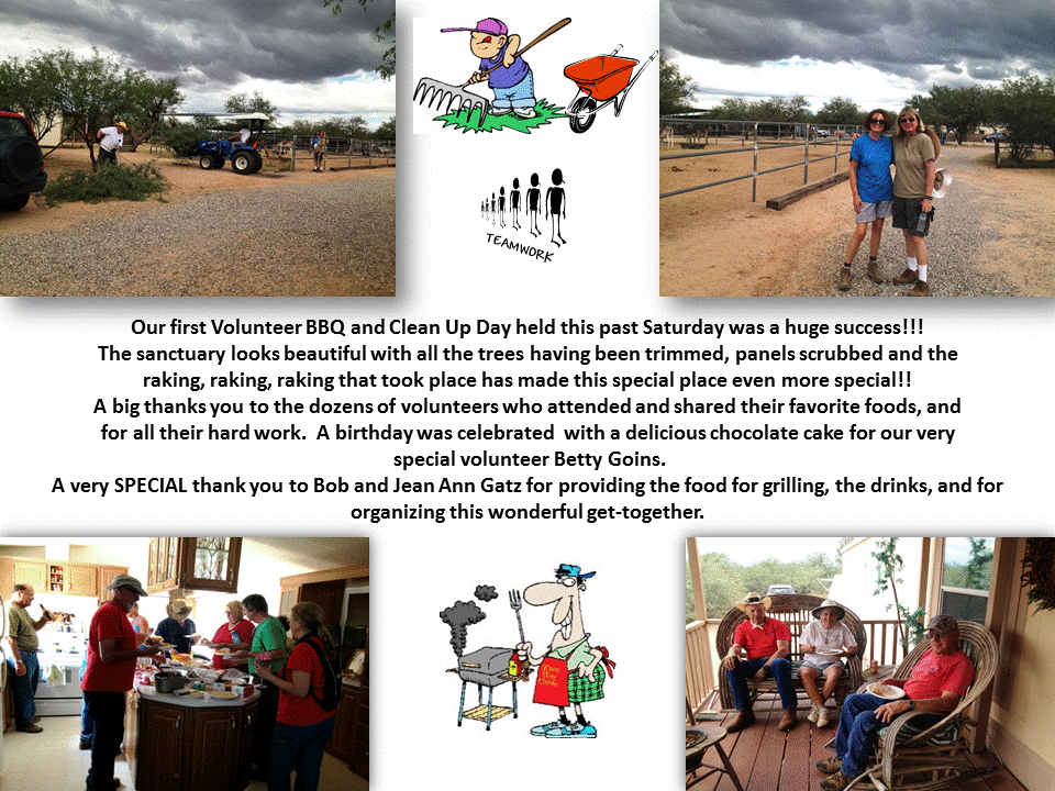 Volunteer BBQ and Clean Up