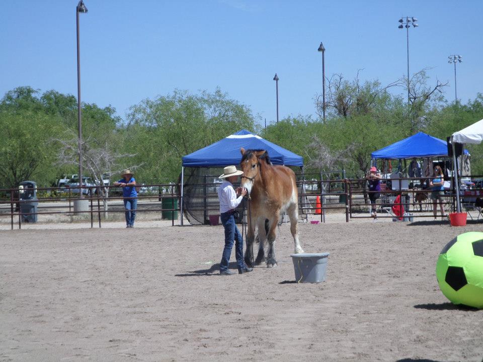 Carol Grubb and Gulliver