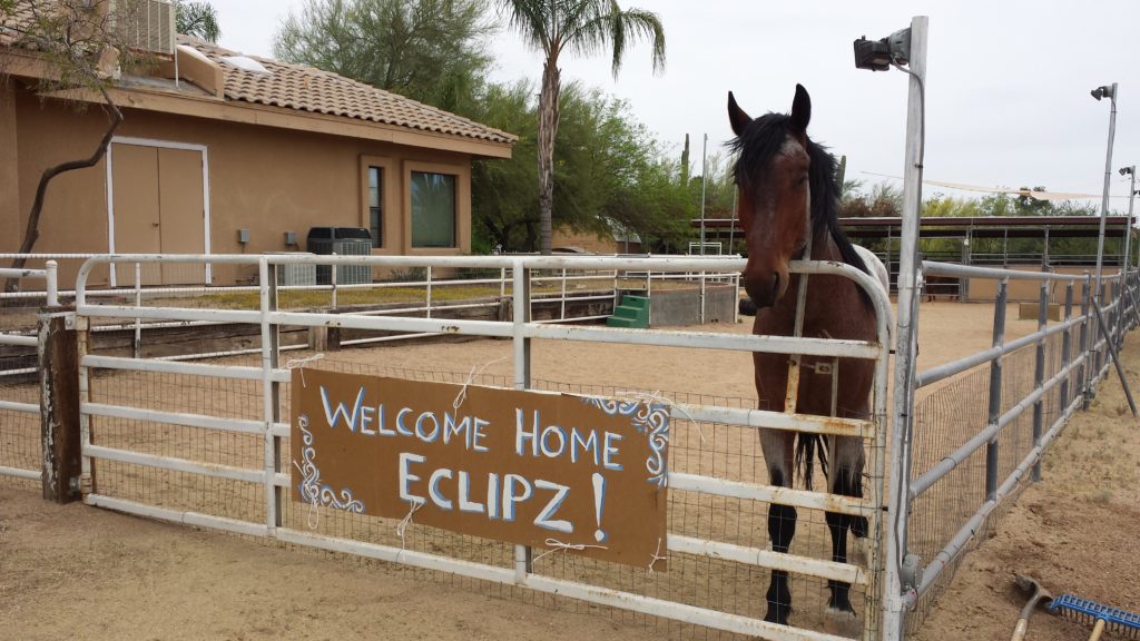 20140418_142956