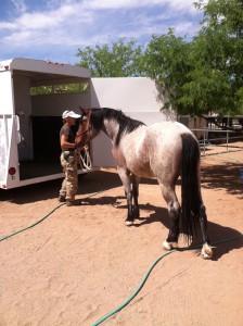 Eclipz preparing to load up for the journey to his forever home