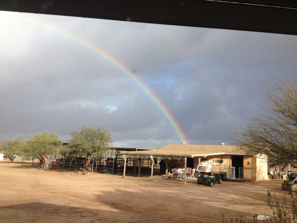 Rainbow Over Equine Voices
