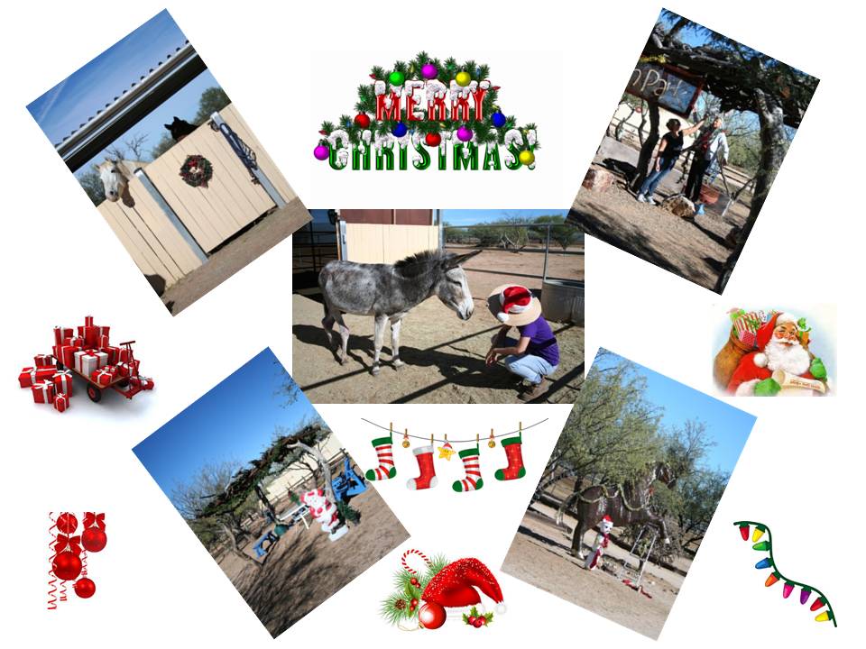 Xmas Collage 1
