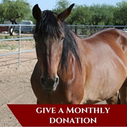 Make a One-Time Donation(1)
