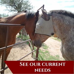 Make a One-Time Donation(2)