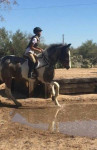 Durango Successful Adoption 2