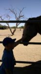 Ben Meets Ben