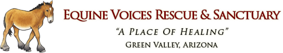 Equine Voices Rescue & Sanctuary