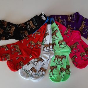 Gulliver Socks
